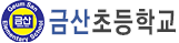 금산초등학교